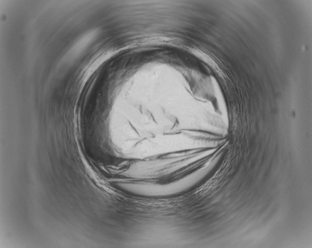 X0000071851047200607290127