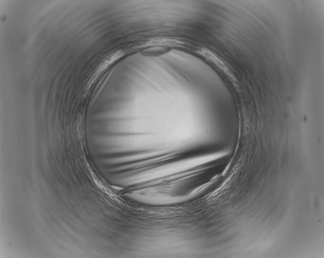 X0000071851049200607290127