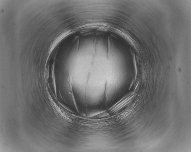 X0000071851050200607290128