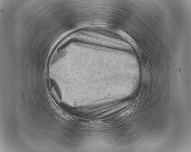 X0000071851052200607290128