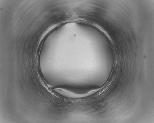 X0000071851053200607290128