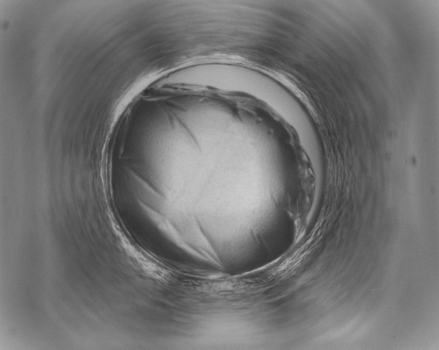 X0000071851054200607290128