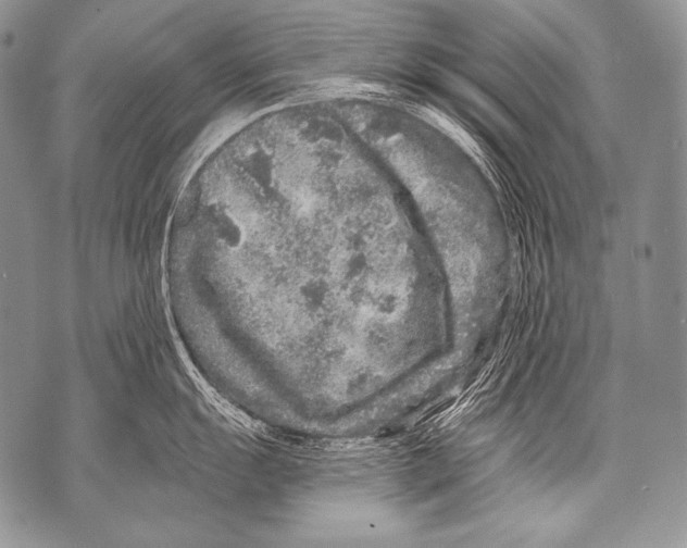 X0000071851055200607290128