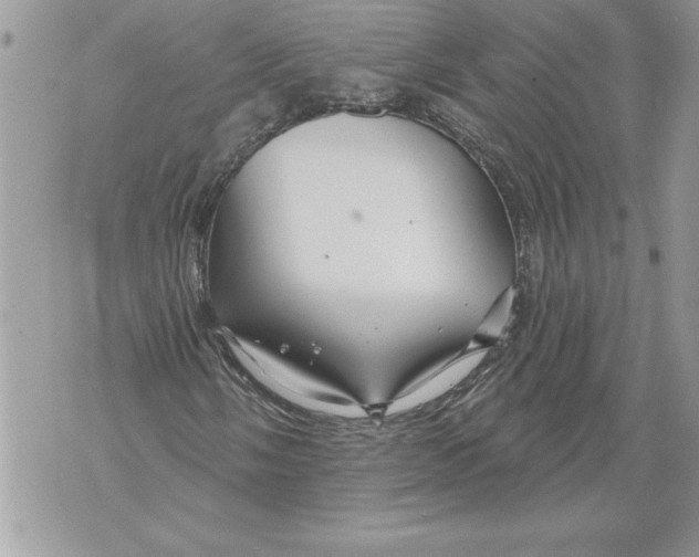 X0000071851058200607290127