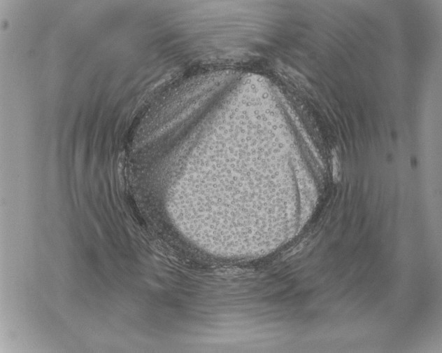 X0000071851059200607290127