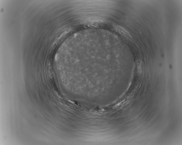 X0000071851060200607290127