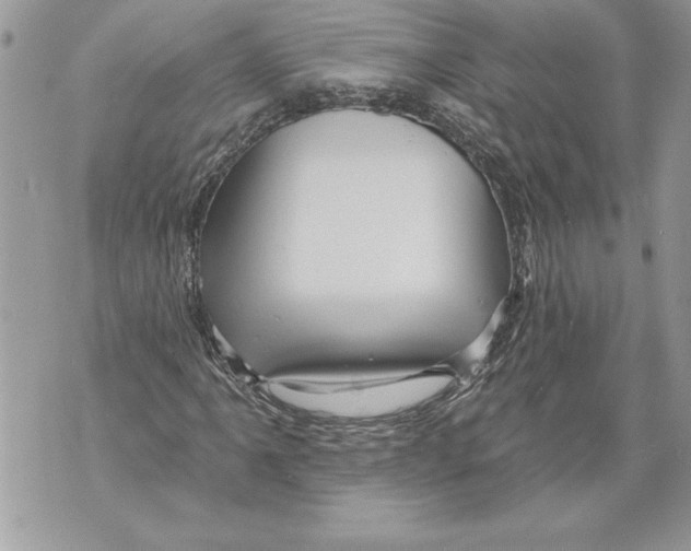 X0000071851061200607290127