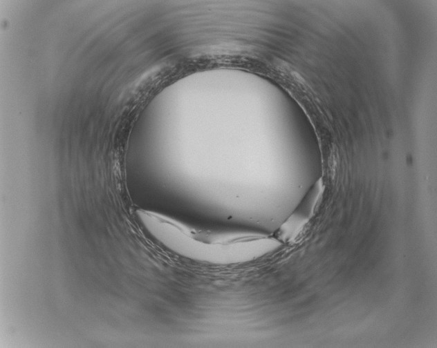 X0000071851062200607290127