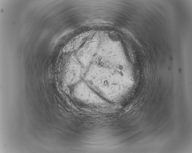 X0000071851063200607290127