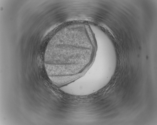 X0000071851064200607290127