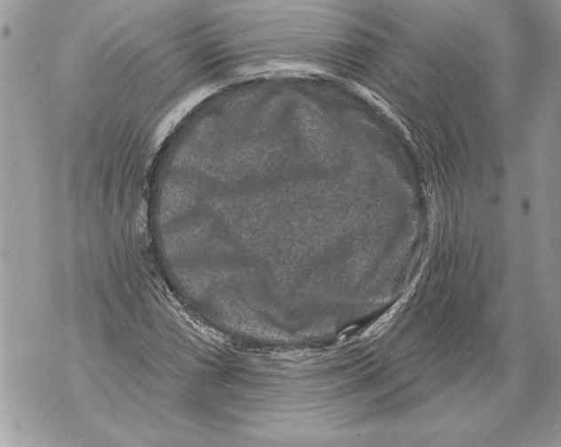 X0000071851066200607290127