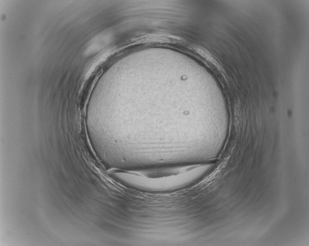 X0000071851067200607290127