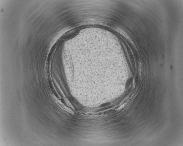 X0000071851068200607290127