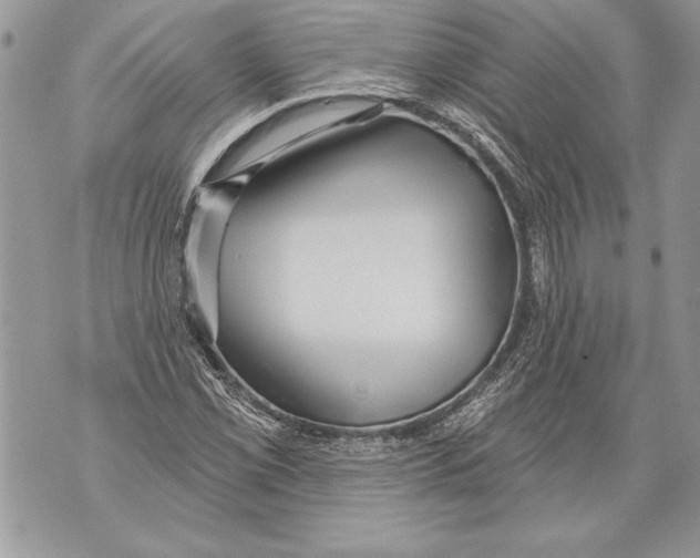 X0000071851069200607290127