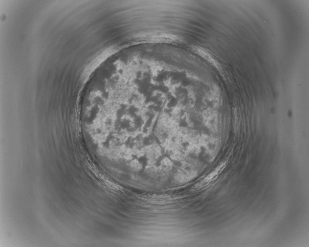 X0000071851071200607290127