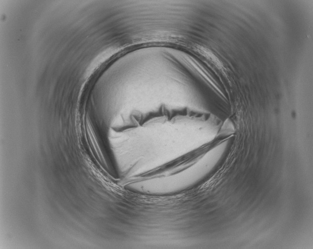 X0000071851072200607290127