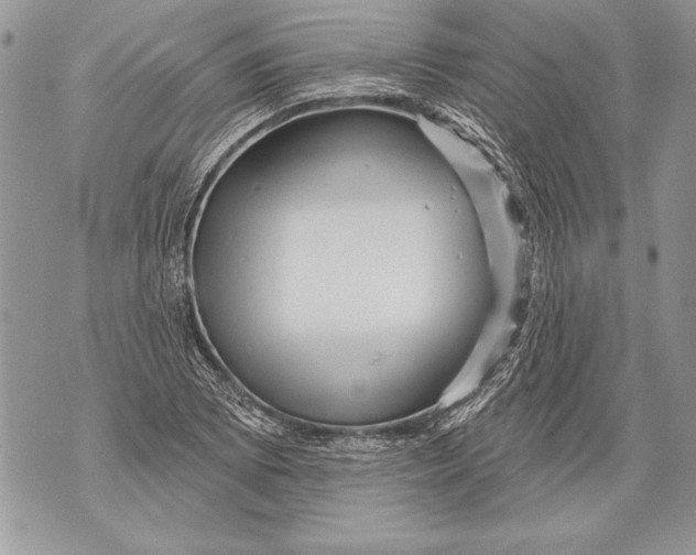 X0000071851073200607290127