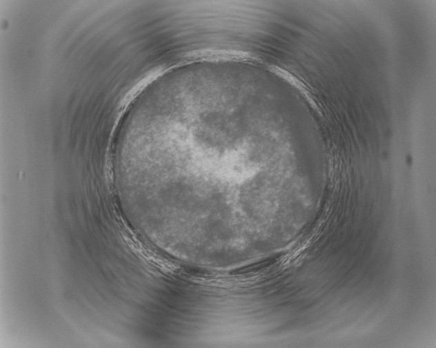 X0000071851074200607290127