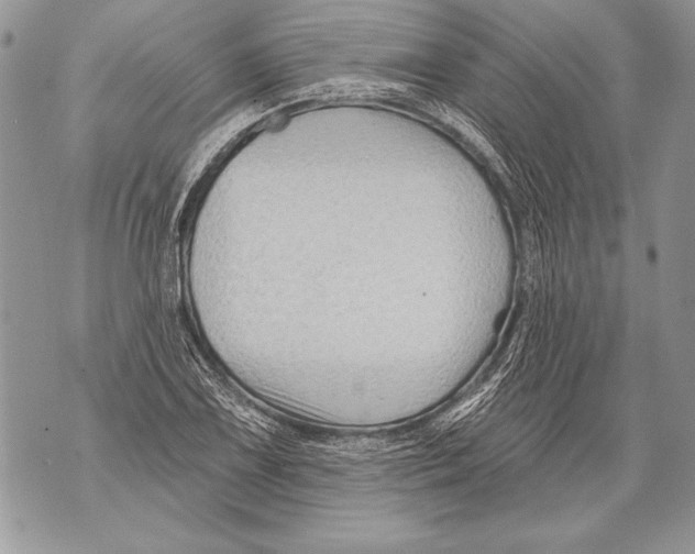 X0000071851075200607290127