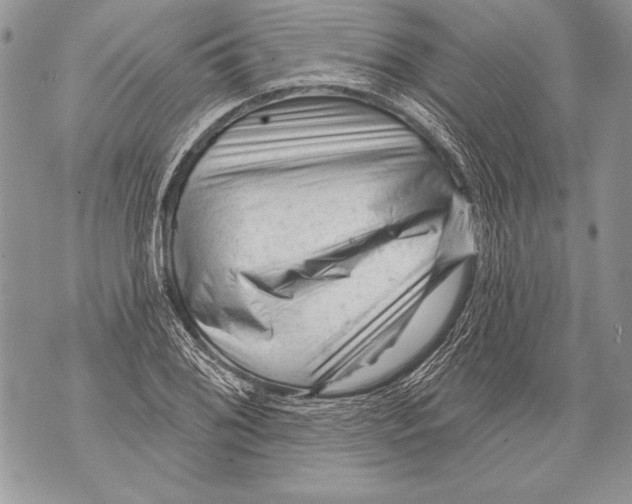 X0000071851076200607290127