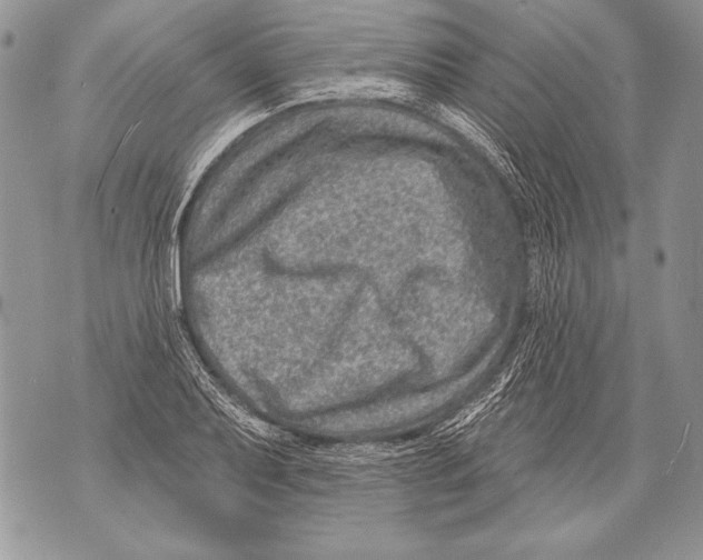 X0000071851079200607290126