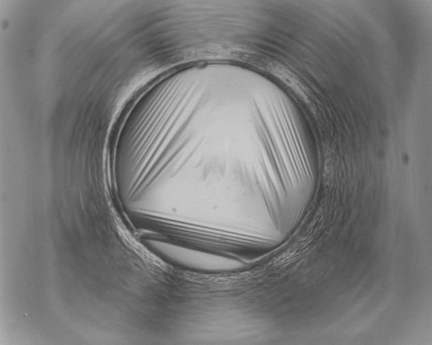 X0000071851080200607290126