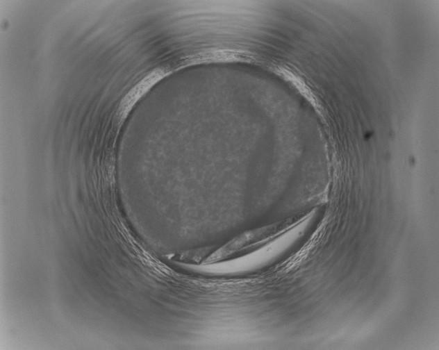 X0000071851081200607290126