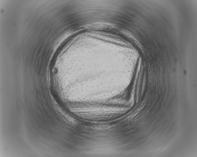 X0000071851083200607290126