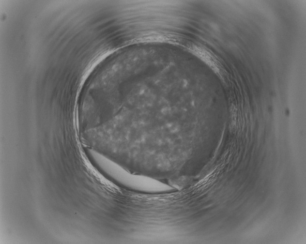 X0000071851084200607290126