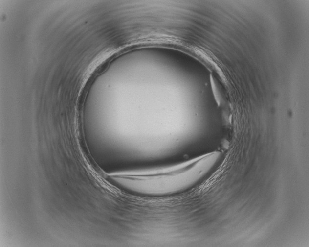 X0000071851085200607290126