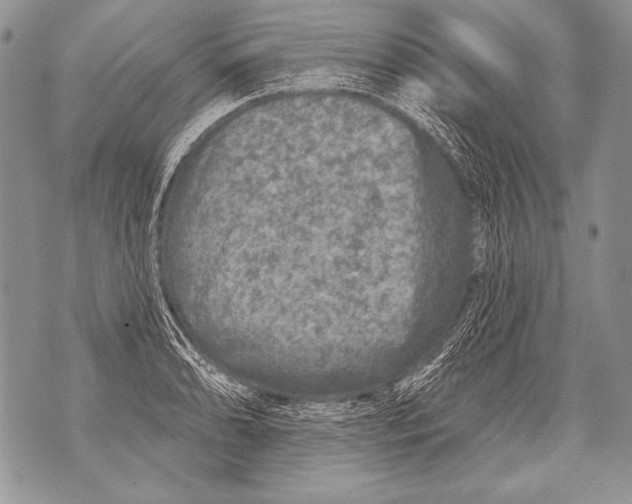 X0000071851086200607290126