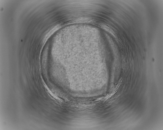 X0000071851087200607290126