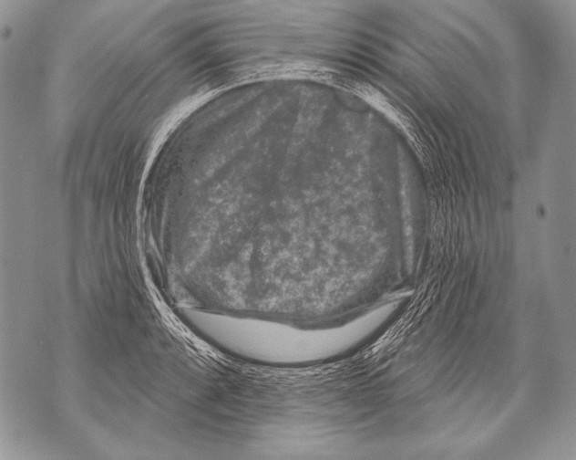 X0000071851088200607290126