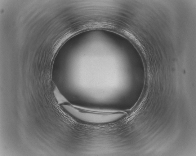 X0000071851089200607290126