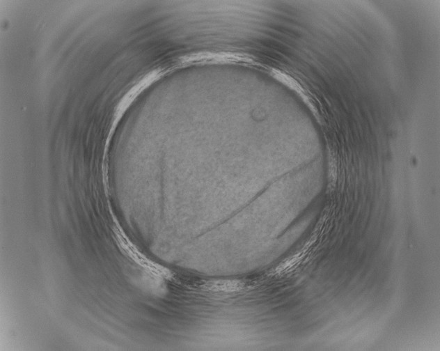 X0000071851090200607290126