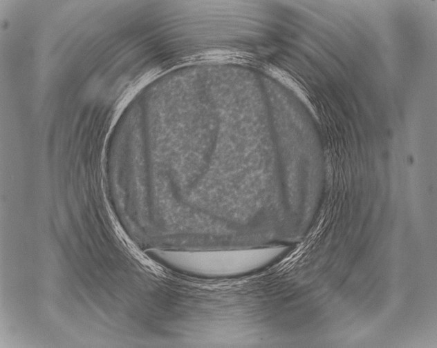 X0000071851091200607290126