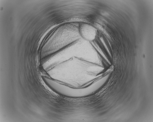 X0000071851092200607290126