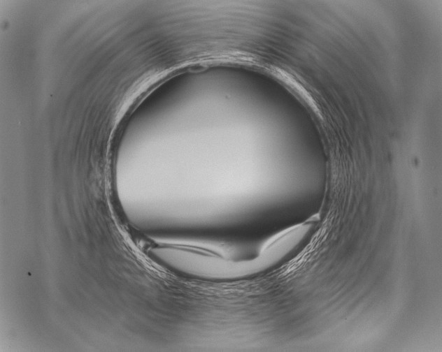 X0000071851093200607290126