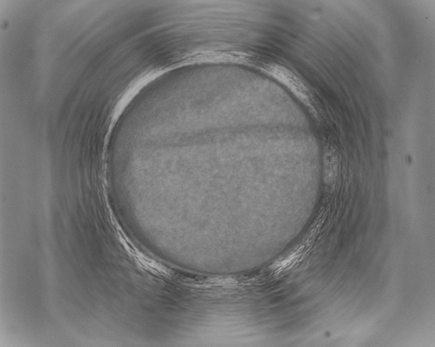 X0000071851094200607290126