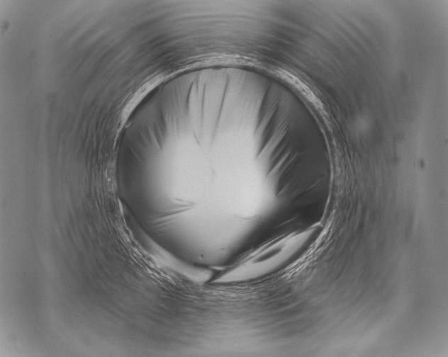 X0000071851097200607290126