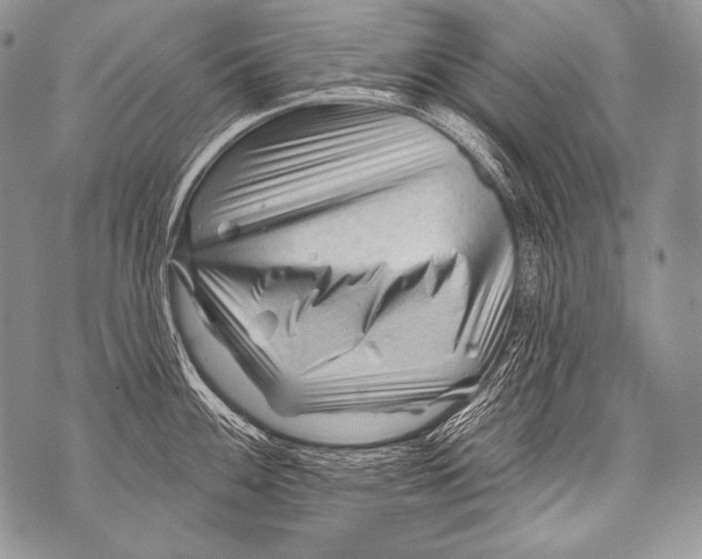 X0000071851100200607290126