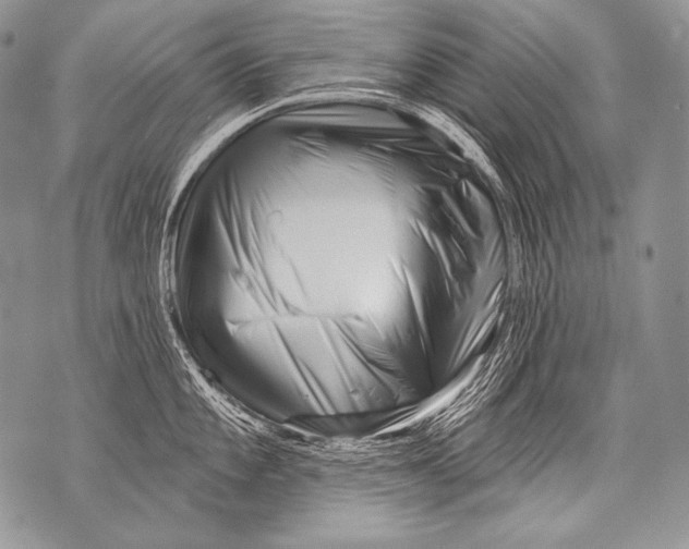 X0000071851101200607290126