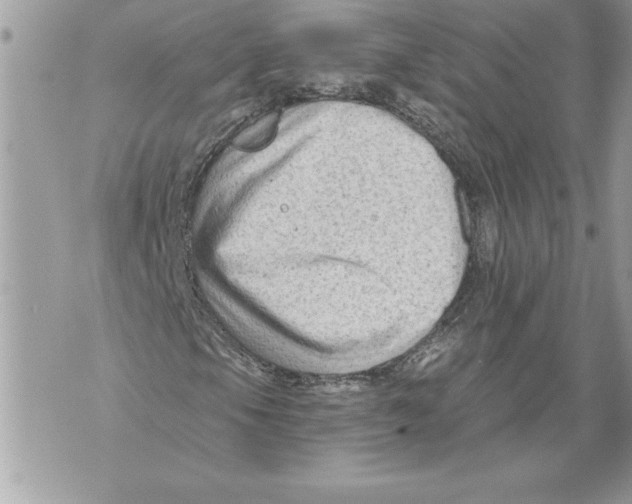 X0000071851105200607290125