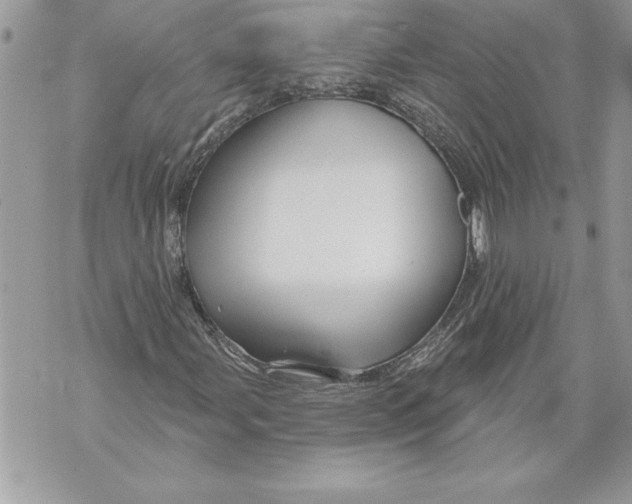 X0000071851107200607290125