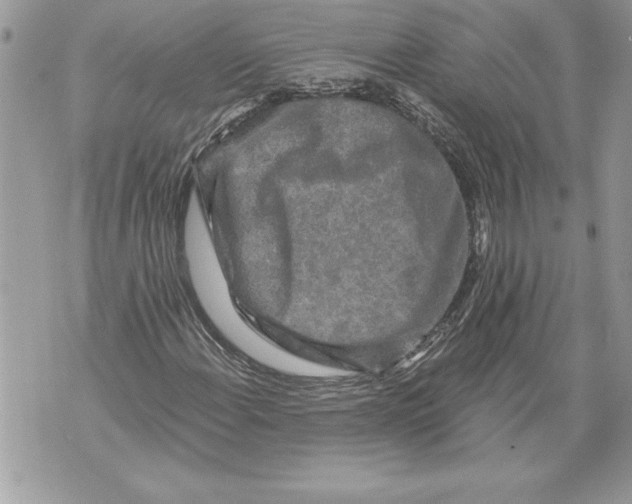 X0000071851108200607290125