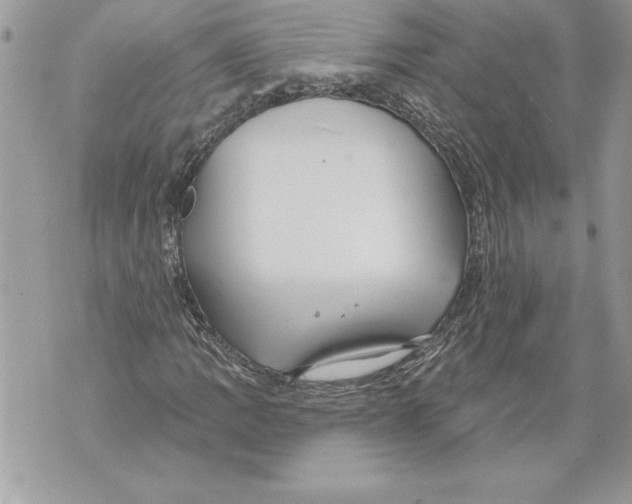 X0000071851109200607290125