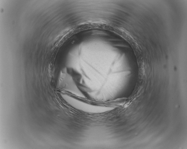 X0000071851110200607290125