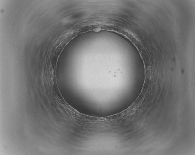 X0000071851111200607290125