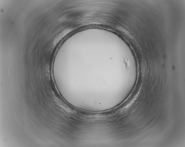 X0000071851113200607290125