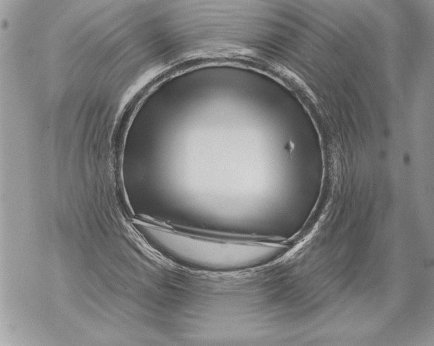 X0000071851114200607290125